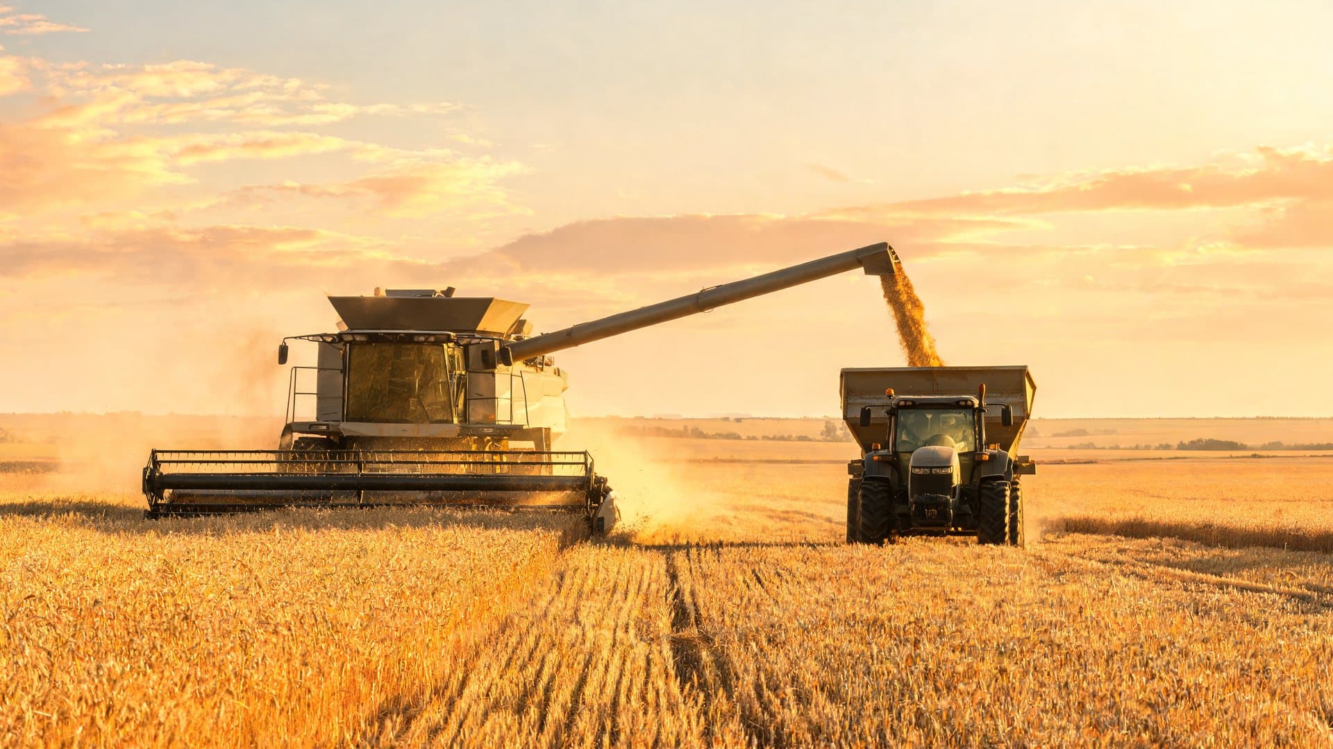 Fideicomiso Flota Agrícola Vita Terra