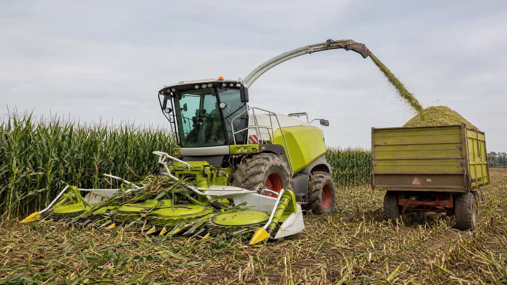 Fideicomiso Flota Agrícola Vita Terra